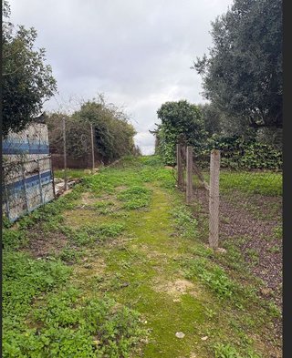 Terreno en venta en Núcleo Urbano en Chiclana de la Frontera