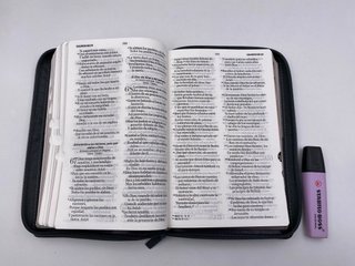 Biblia RVR 1960 Letra Grande Tamaño Manual Sími...