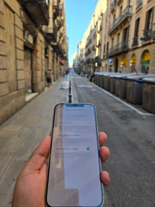 iPhone 12 Pro Max 256GB Plateado
