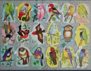 Lamina Cromos troquelados Edivas 3. Pájaros