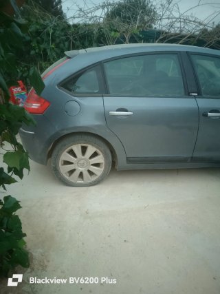 Despiece Citroën C4