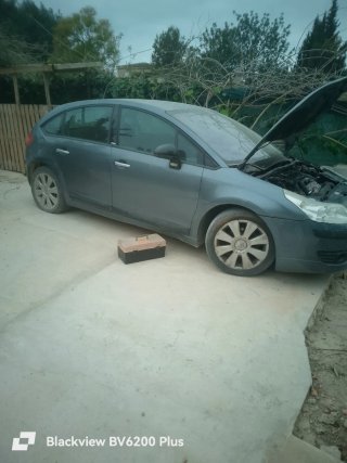 Despiece Citroën C4