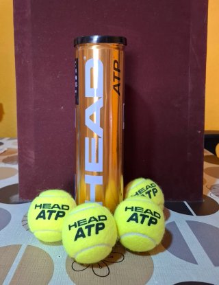Tubo 4 pelotas tenis Head ATP