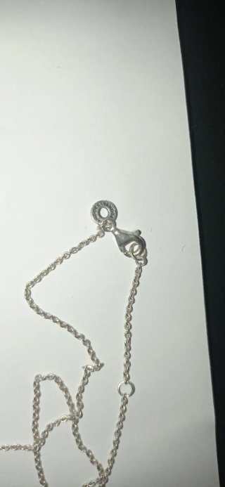Colgante Pandora de Plata