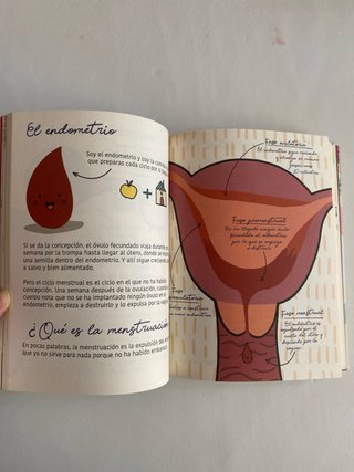 La regla mola : si sabes cómo funciona