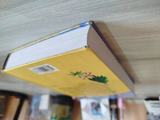 Cuentos para irse a la cama