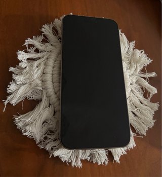 iPhone 15 Pro Max 256GB Plata