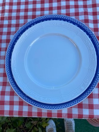 Platos de porcelana Santa Clara