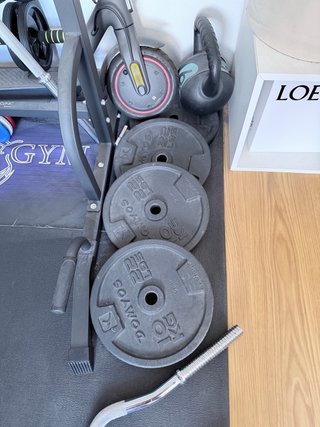 Silla romana y barras de musculación