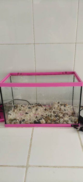 Pecera 15L Rosa y Transparente