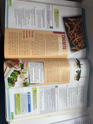 Trends Student's book. Bachillerato 1