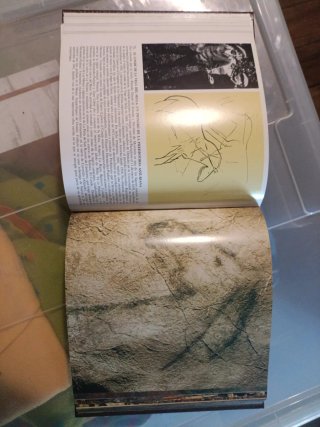Curiosidades asturianas