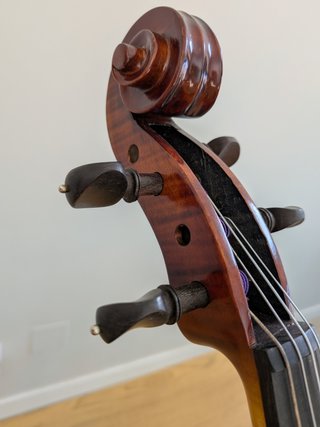 Viola GARA SVA-500 15.5 + accesorios