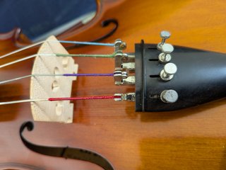 Viola GARA SVA-500 15.5 + accesorios