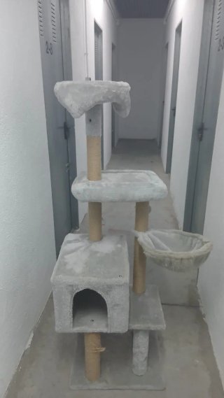 Árbol rascador para gatos