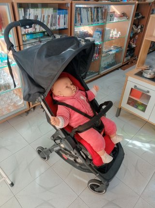 Silla de paseo ligera Phil & Teds Go
