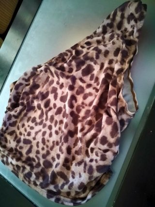 Nuevo a estrenar Top Asimétrico Estampado Leopardo