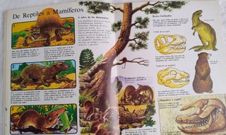 Lote de 2 libros juveniles sobre la Prehistoria