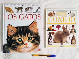 Lote de 2 libros. Gatos. Conejos