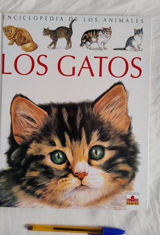 Lote de 2 libros. Gatos. Conejos