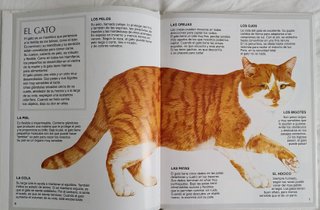 Lote de 2 libros. Gatos. Conejos