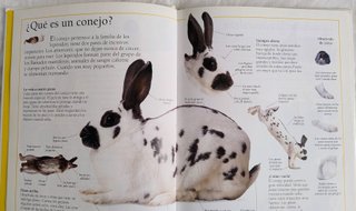 Lote de 2 libros. Gatos. Conejos