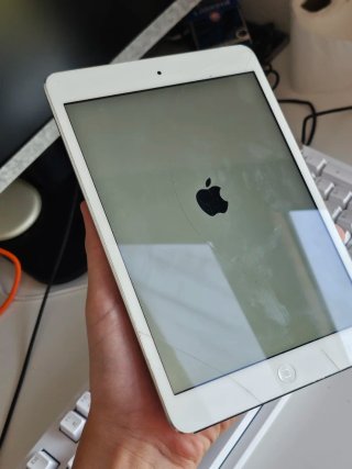 iPad mini 4 per parti