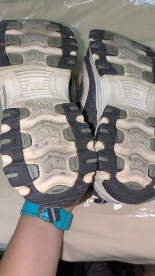 Zapatillas Skechers D'Lites Mujer