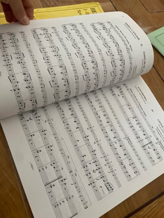 Libros de Violín: Violinist's First Lessons