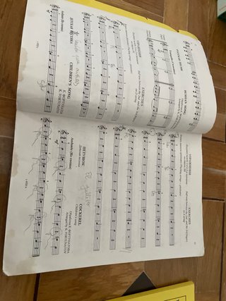 Libros de Violín: Violinist's First Lessons