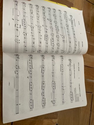 Libros de Violín: Violinist's First Lessons