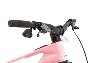 Bicicleta Orbea Wild M-LTD XX AXS t.S Reacondicionada