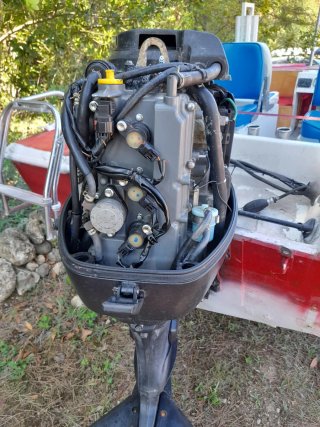Suzuki 40 Despiece o Entero Motor Fueraborda