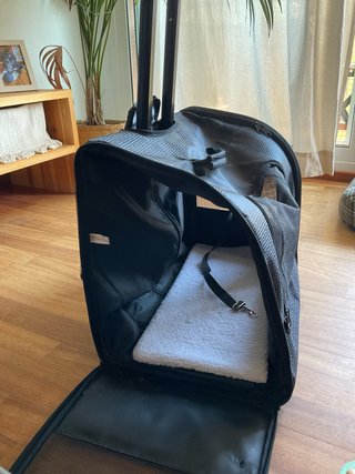Transportín para mascotas con ruedas