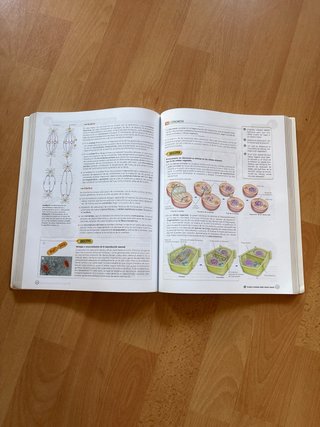 Libro Biología 2 Bachillerato Bruño + Licencia