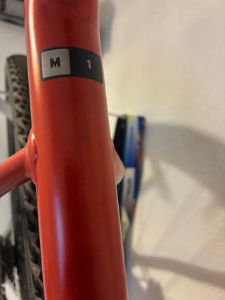 Giant Revolt 1 Gravel Shimano GRX Talla M 2024