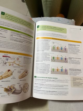 Biología y Geología 1 bachillerato
