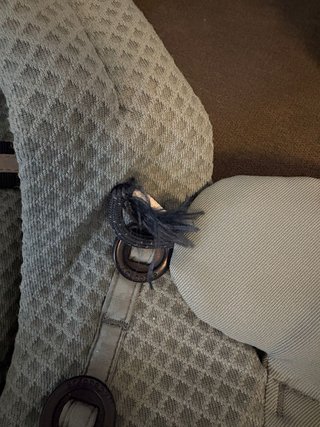 Mochila Portabebés Ergobaby Adapt