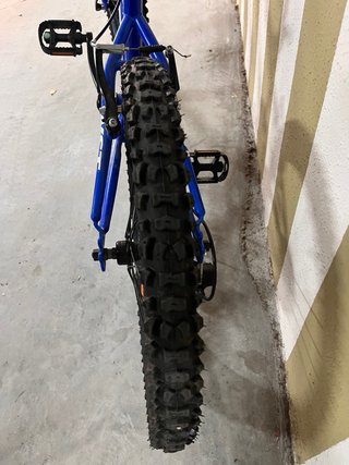 Bicicleta Infantil WST 20 Pulgadas Azul