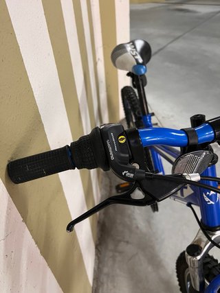 Bicicleta Infantil WST 20 Pulgadas Azul