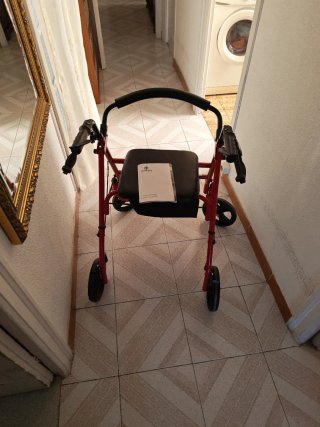 Carrito Andador MopediA