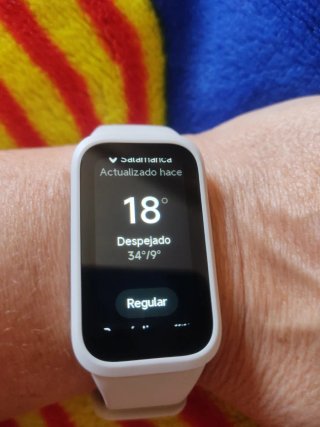 Xiaomi Smart Band 7 Negra/Blanca