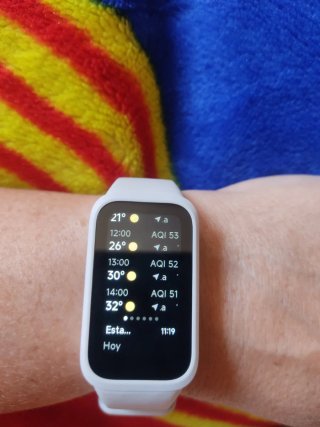 Xiaomi Smart Band 7 Negra/Blanca