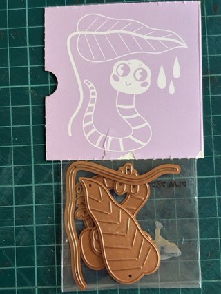 Set de Troqueles Scrap Spellbinders