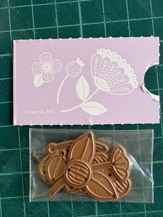 Set de Troqueles Scrap Spellbinders