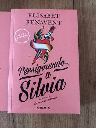 Encontrando a Silvia / Finding Silvia