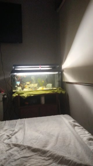 Acuario de 100 Litros con Mueble