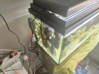 Acuario de 100 Litros con Mueble