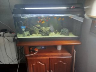 Acuario de 100 Litros con Mueble