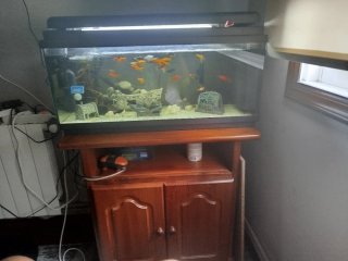 Acuario de 100 Litros con Mueble